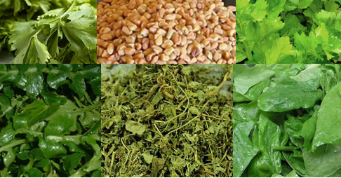 Fenugreek Substitutes